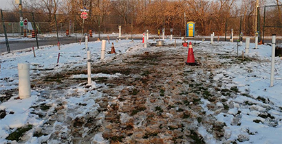 planting 51 trees speeds up toluene cleanup efforts