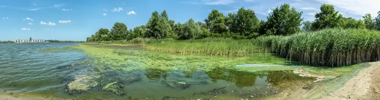 Monitoring Health of Aquatic Ecosystems monitoring health of aquatic ecosystems