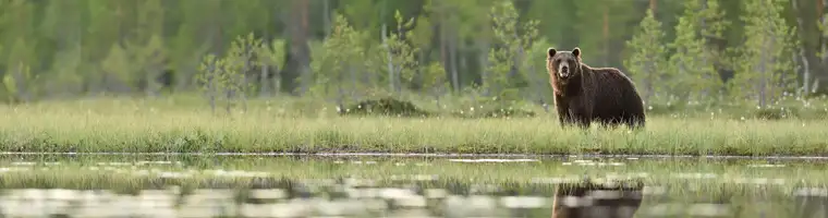 Why is Surface Water Monitoring Important why is surface water monitoring important