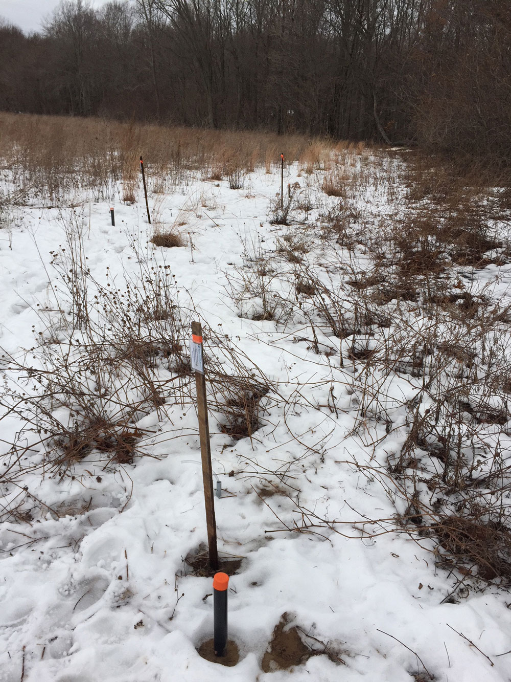 groundwater wells monitored using solinst water level meter