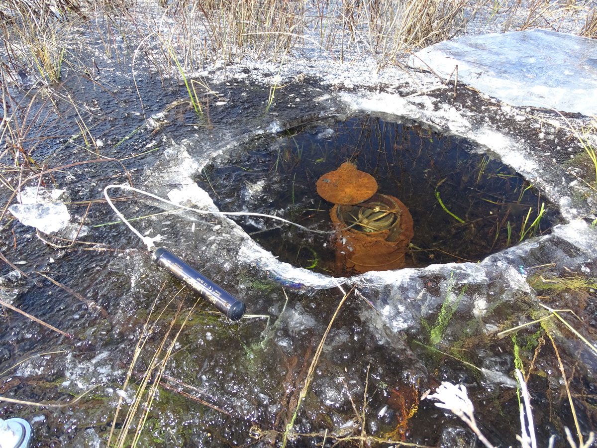 wetland monitoring with solinst levelogger edge 