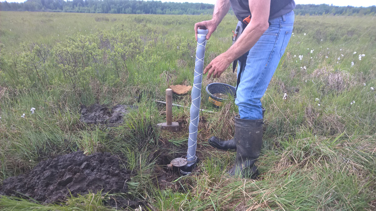 solinst leveloggers deployed in wetland