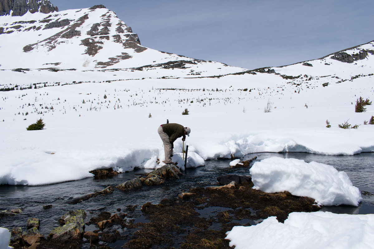 solinst levelogger recording water levels in alpine lake stilling well