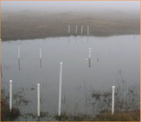Levelogger-Vernal-Pool-Wetlands-Installation-Wet-Season.jpg