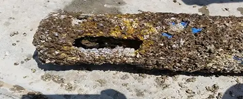 वर्टिकल प्रोफाइलर उच्च हाइपोलिमनेटिक सल्फाइड सांद्रता में निरंतर निगरानी प्रदान करता है वर्टिकल प्रोफाइलर उच्च हाइपोलिम्नेटिक सल्फाइड सांद्रता में निरंतर निगरानी प्रदान करता है