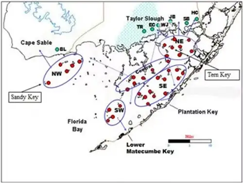 Scientists Monitor Water in Everglades with Hydrostation scientists monitor water in everglades with hydrostation