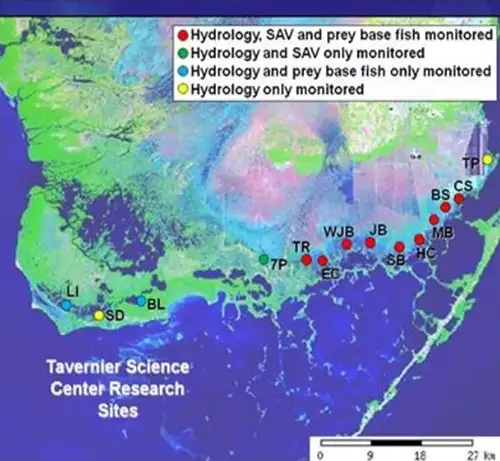 Scientists Monitor Water in Everglades with Hydrostation scientists monitor water in everglades with hydrostation