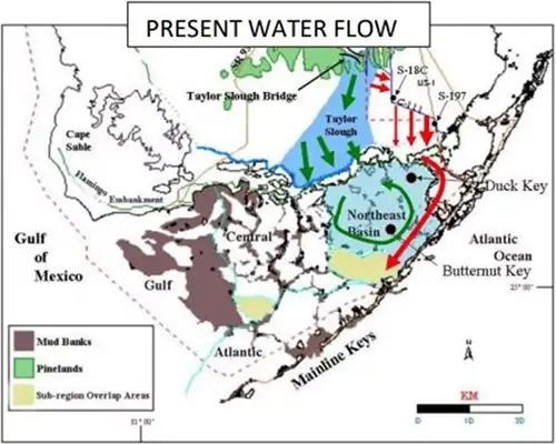 Scientists Monitor Water in Everglades with Hydrostation scientists monitor water in everglades with hydrostation