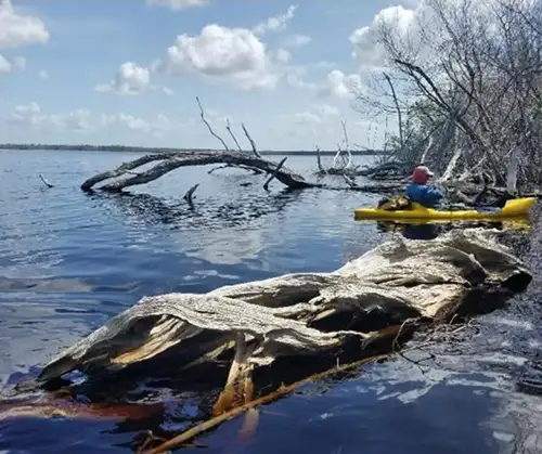 Scientists Monitor Water in Everglades with Hydrostation scientists monitor water in everglades with hydrostation