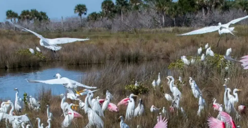 wetenschappers monitoren water in everglades met hydrostation