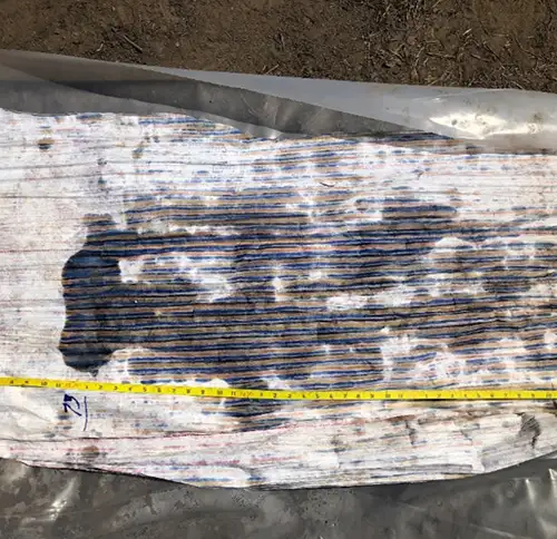 プリント基板の汚れを示すソリスト・ナプル・フルート