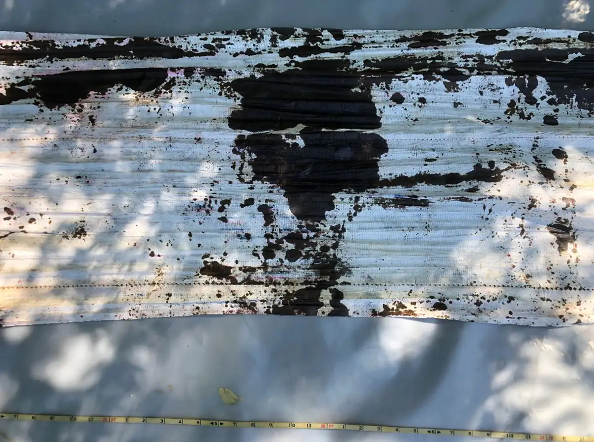 ソリンスト・ナプル・フルート・ステンド